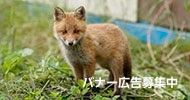 新冠町立特別養護老人ホーム恵寿荘