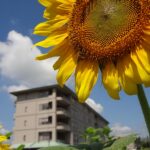 特別養護老人ホームポプラの樹｜市原市千葉県市原市二日市場７７３－１の地域密着型介護付き有料老人ホームの写真