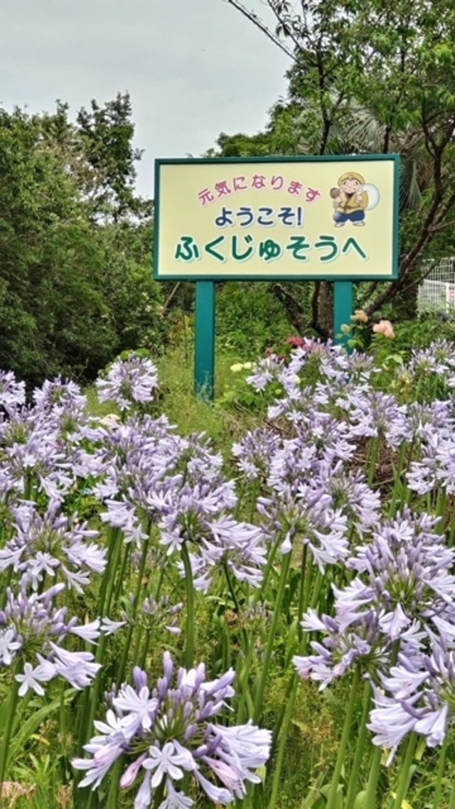 介護付きホームふくじゅそう
