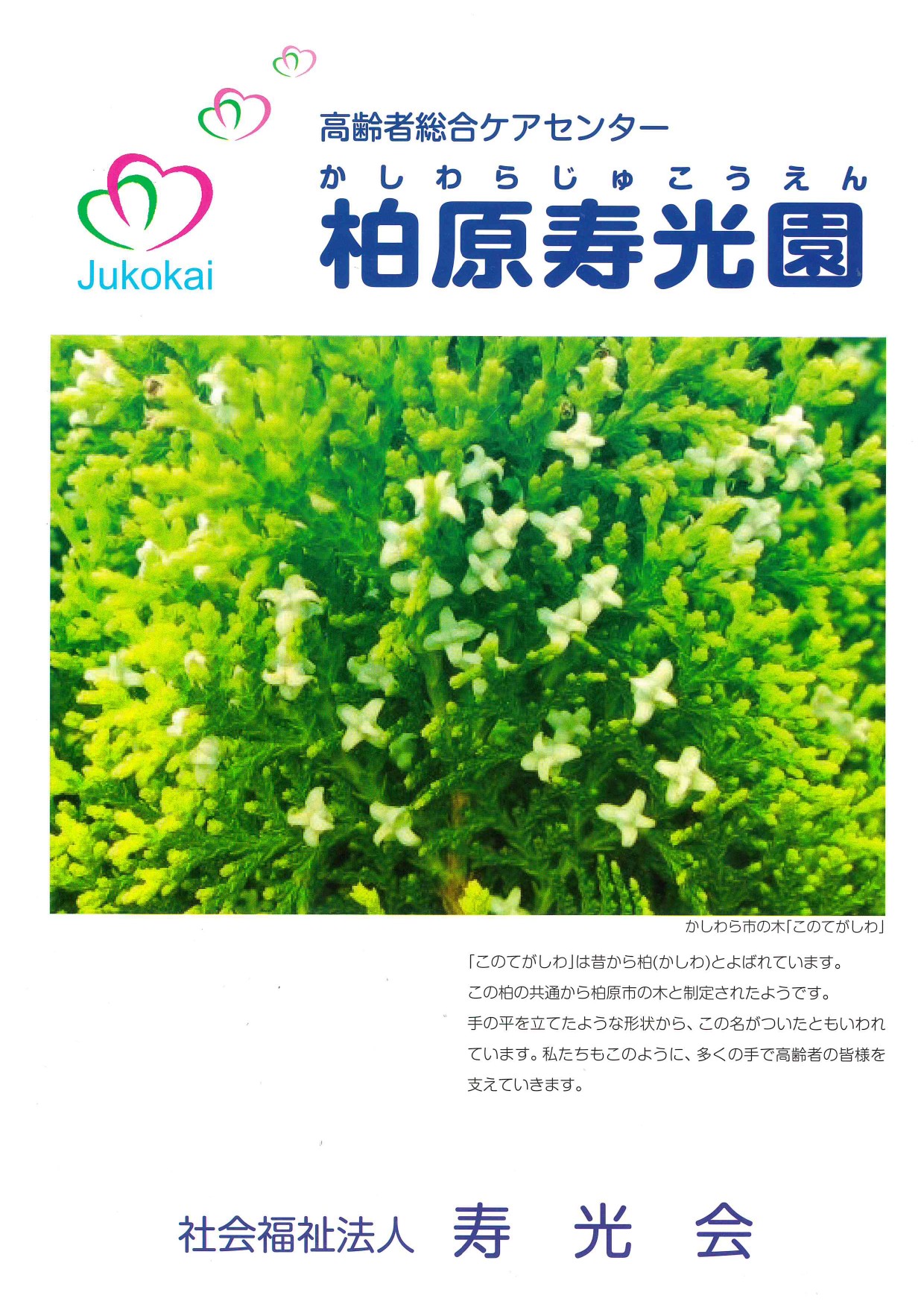 特別養護老人ホーム柏寿
