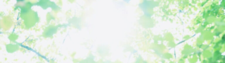 特別養護老人ホームせんわ