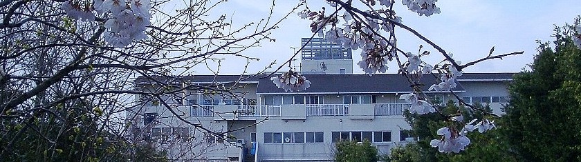 特別養護老人ホーム　東和荘