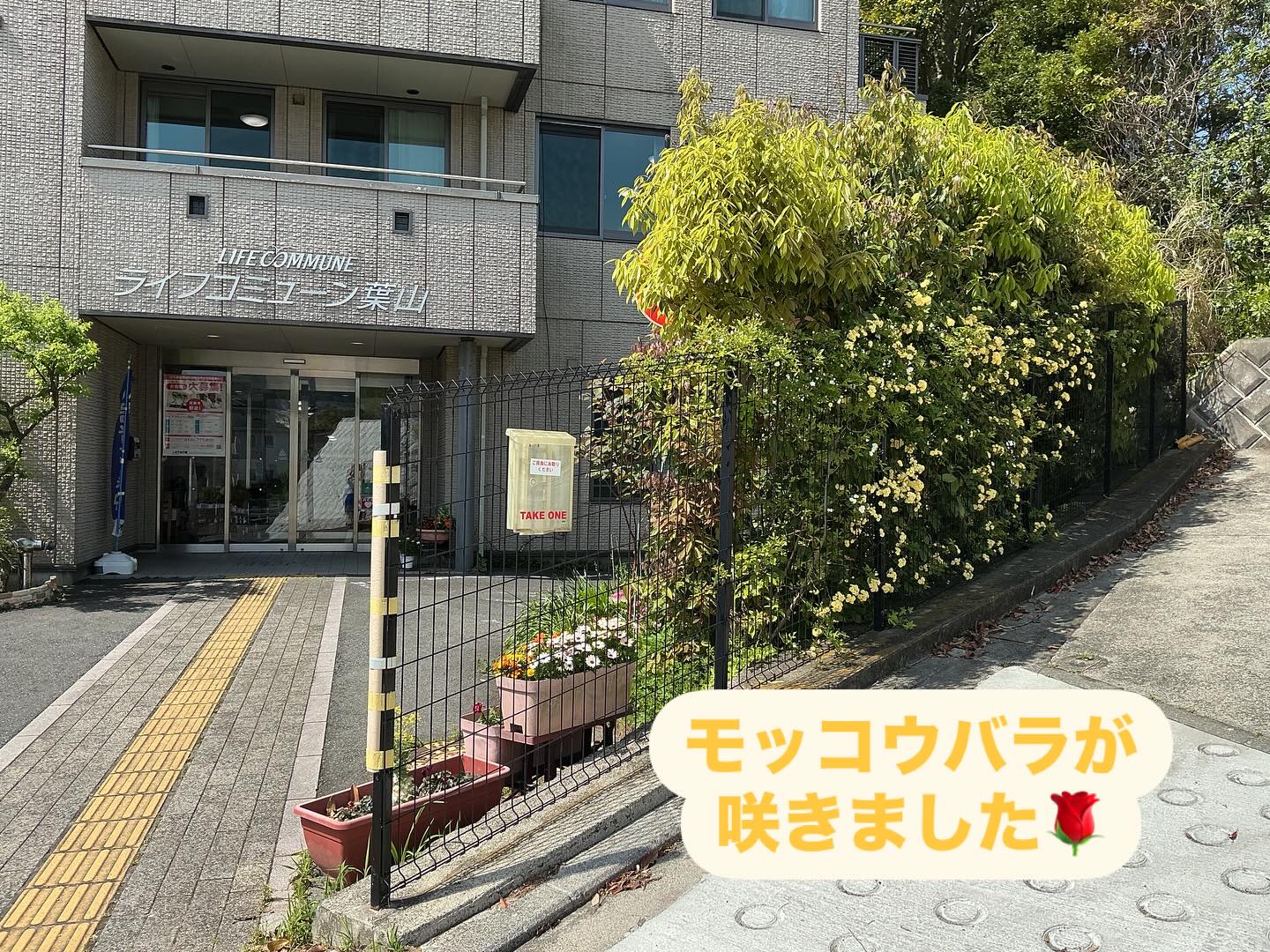 ライフコミューン葉山