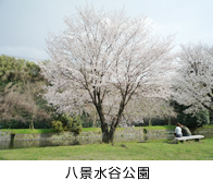 八景水谷昭和館