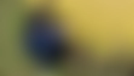 サービス付き高齢者向け住宅ゆうあいの街