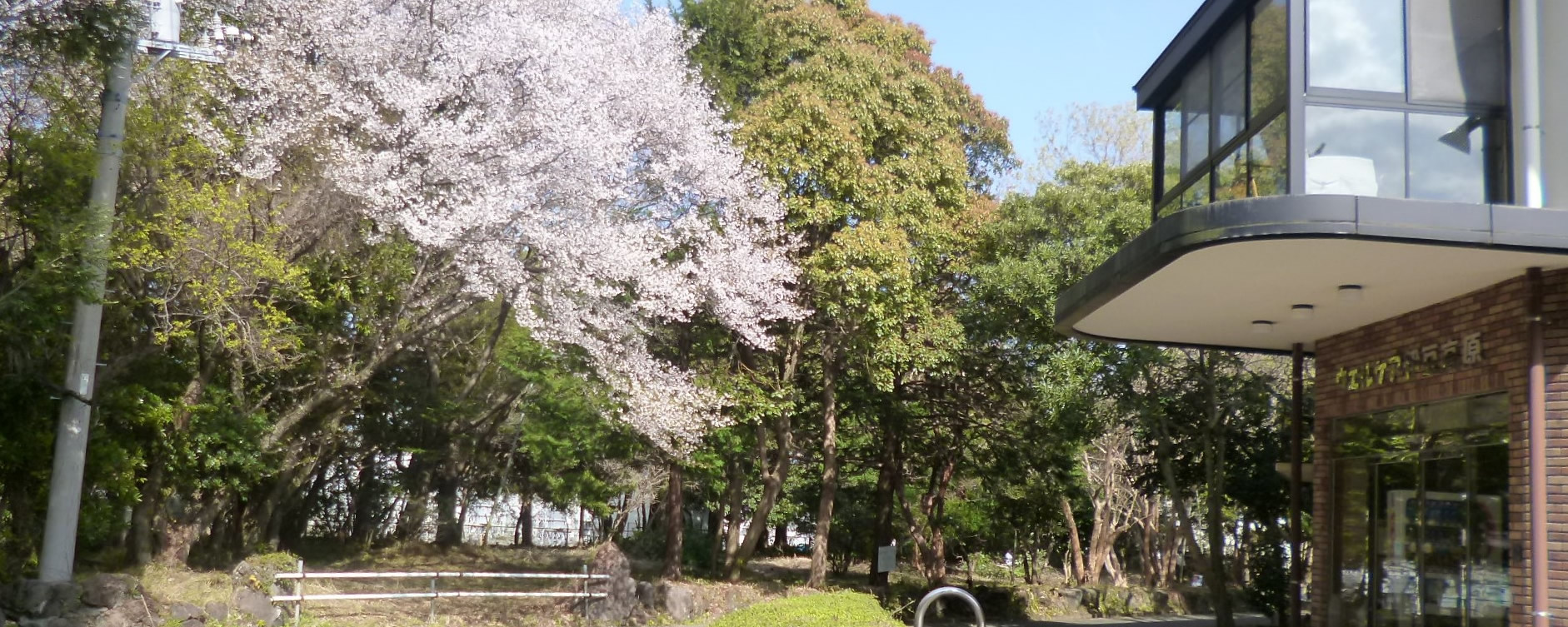 ウェルケア伊豆高原