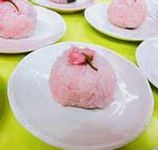 ブロッサムやつしろⅢ