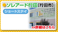 ソレアード幸手