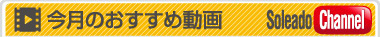 ソレアード幸手
