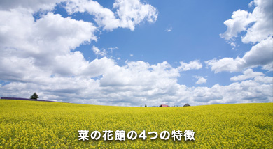 介護付有料老人ホームハッピーライフ菜の花館
