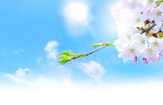 特定施設入居者生活介護そらまめ