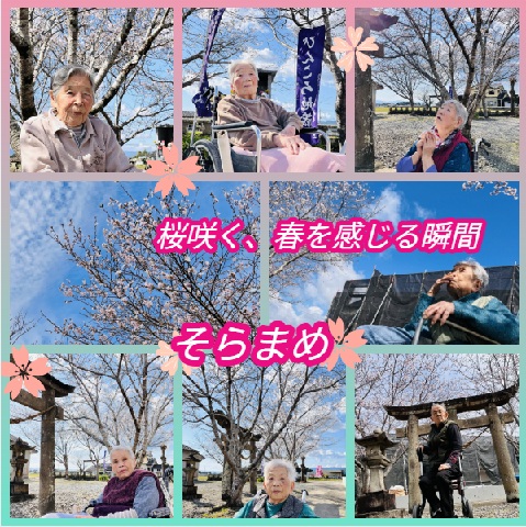 特定施設入居者生活介護そらまめ