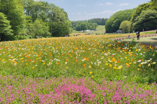 介護老人福祉施設 はすだの森