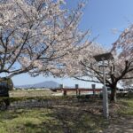 サービス付高齢者向け住宅特定施設入居者生活介護プレヴェール