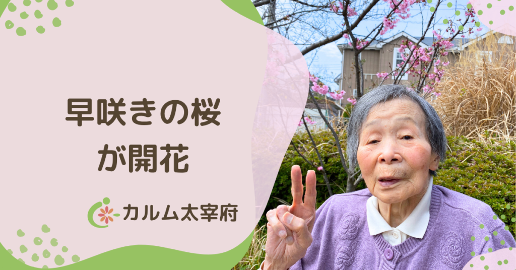 有料老人ホーム　カルム太宰府