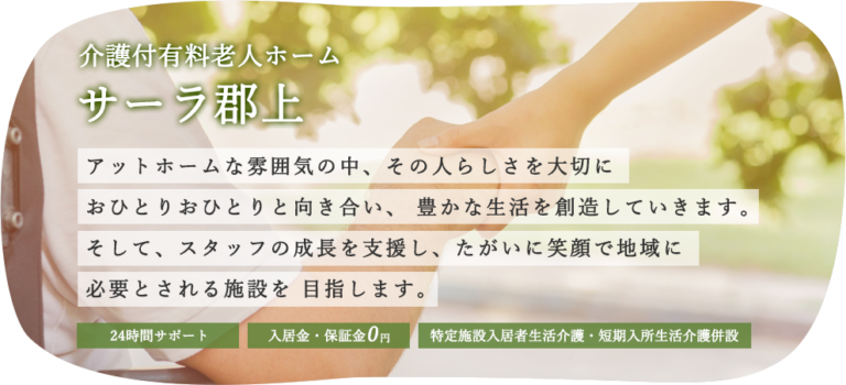 サーラ郡上