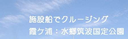 らいふつくば花畑