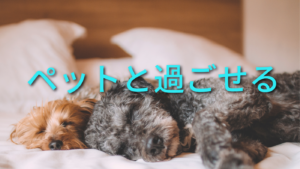 有料老人ホームサンリベラル道後