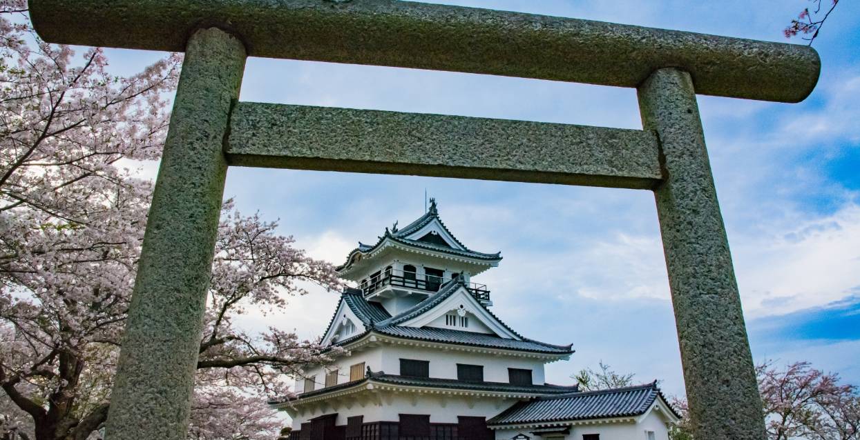 なごみ花游