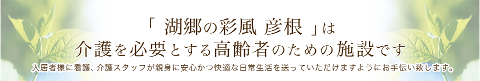 湖郷の彩風彦根