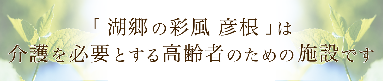 湖郷の彩風彦根