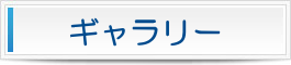 地域密着型有料老人ホーム蹈青