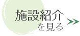 愛厚清嶺の風