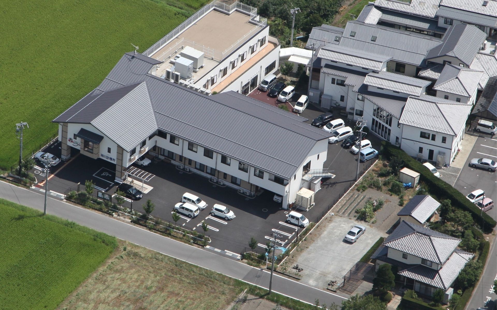 赤いりんご