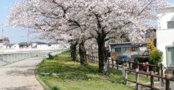 水車の森
