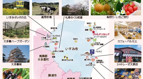 ジャルダンカトレアいすみ