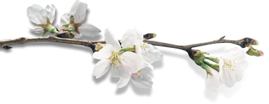 介護付有料老人ホーム桜庵