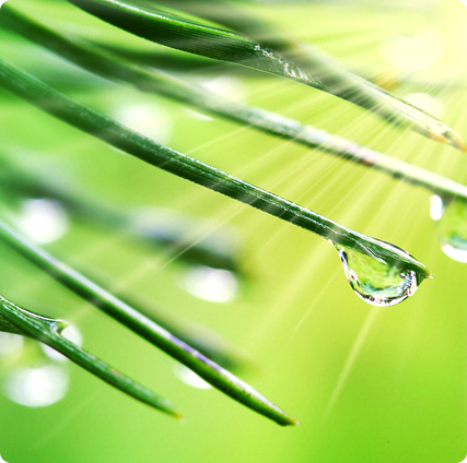 永遠の郷
