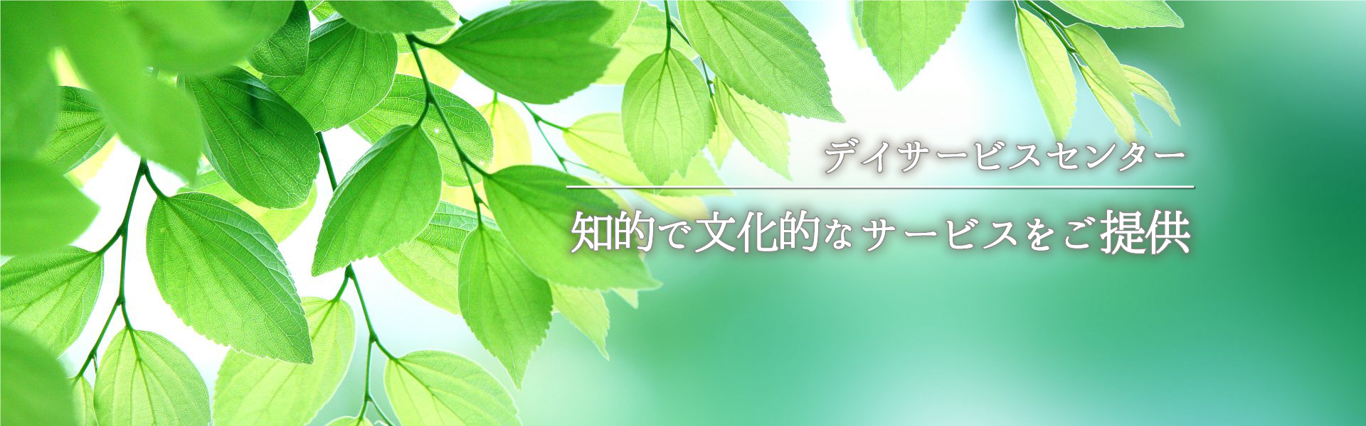 介護付有料老人ホームヒューマンサポート幸手