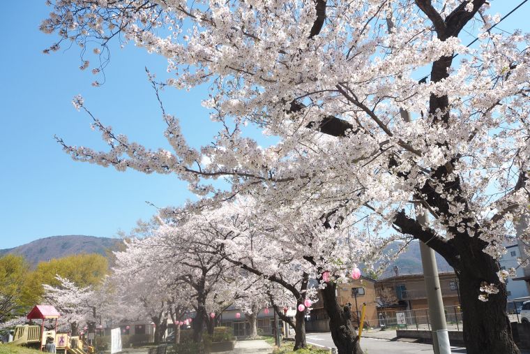 ヒルデモア信州白雲館