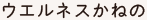 ウエルネスかねの