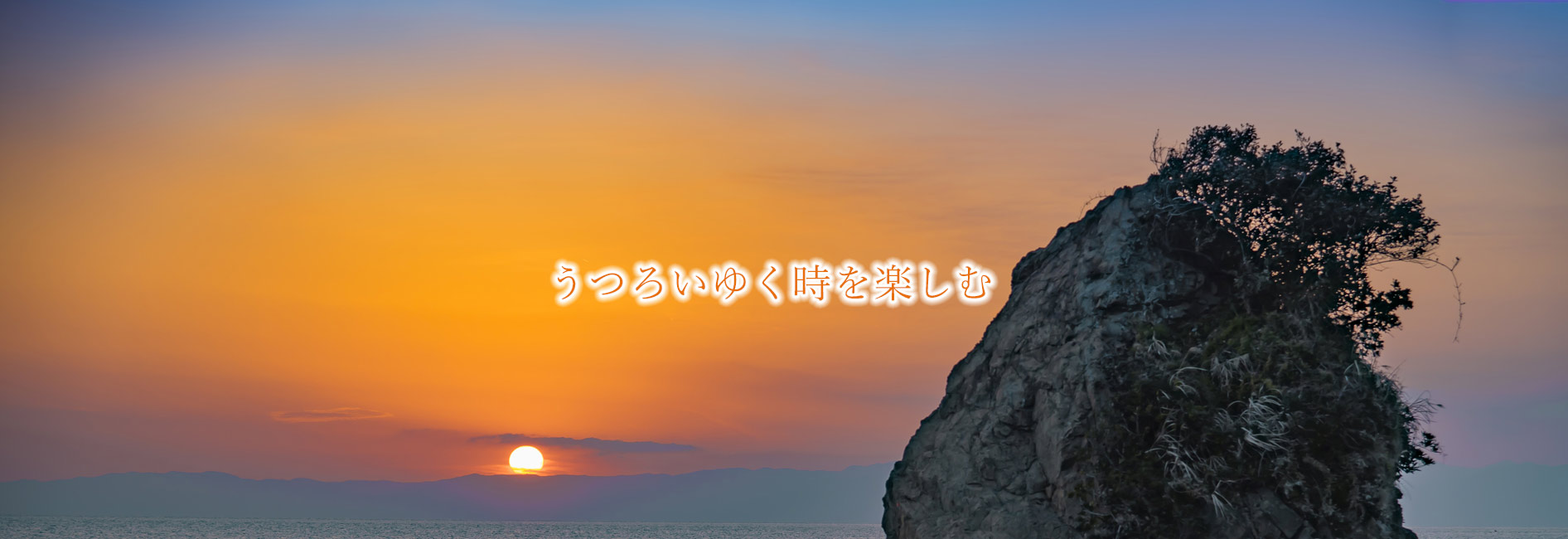 葉山の丘