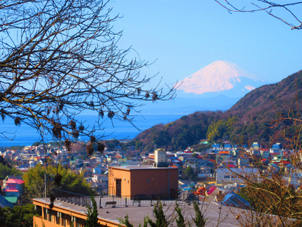 葉山の丘