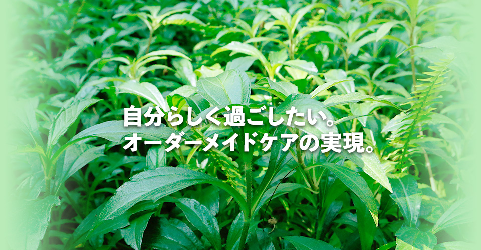 なかこの家