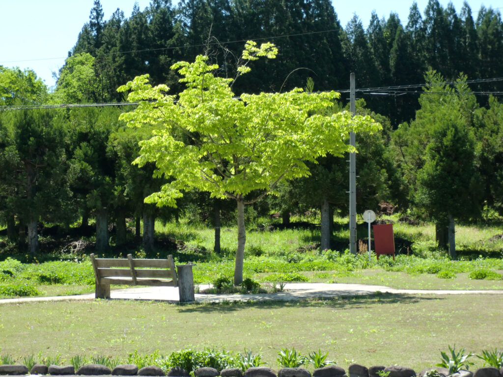 うららびよりなるがの憩いの家