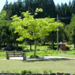 うららびよりなるがの憩いの家｜郡上市岐阜県郡上市白鳥町那留1527番地69の地域密着型介護付き有料老人ホームの写真