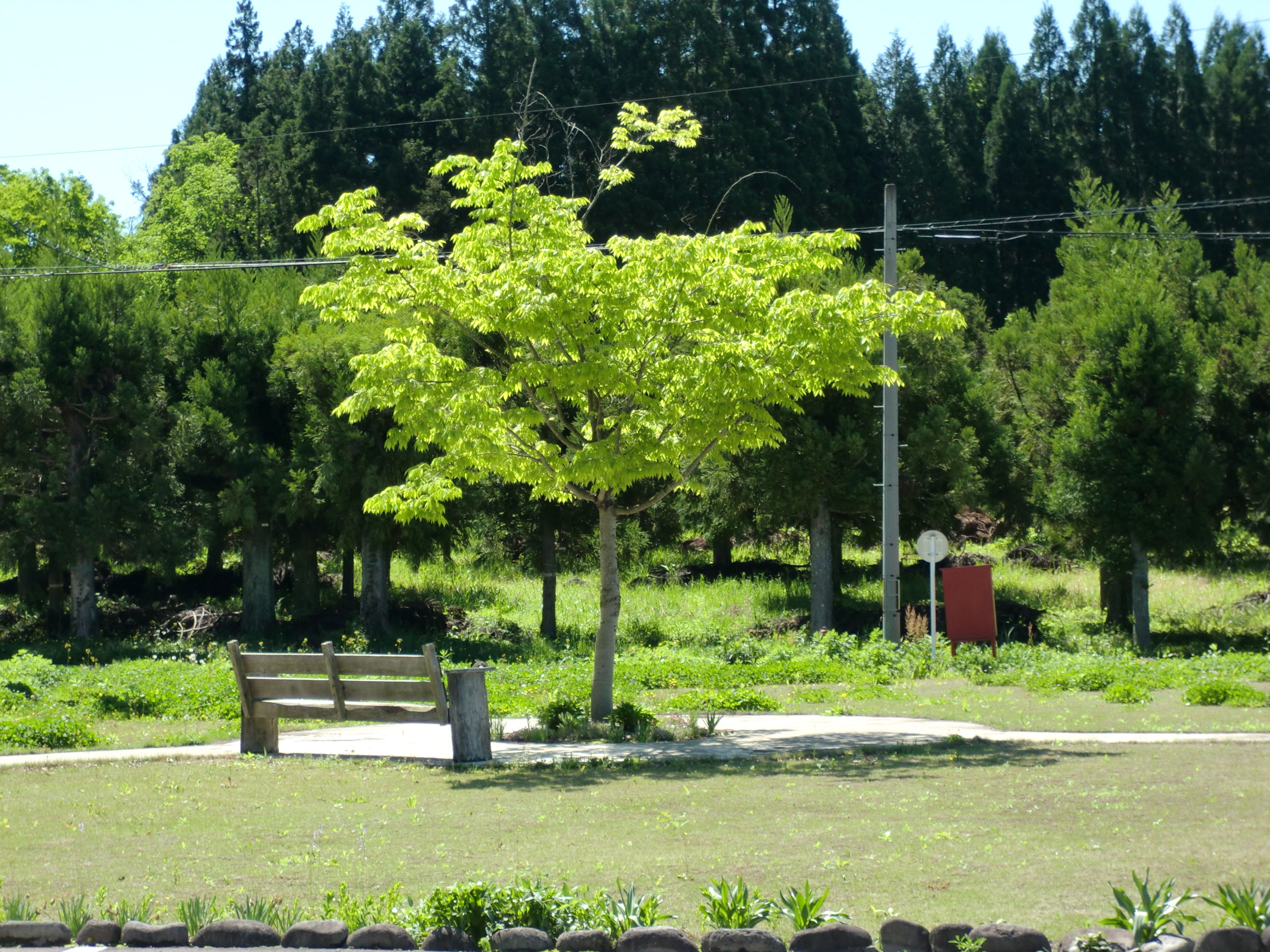 うららびよりなるがの憩いの家
