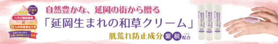 介護付有料老人ホームほそしま
