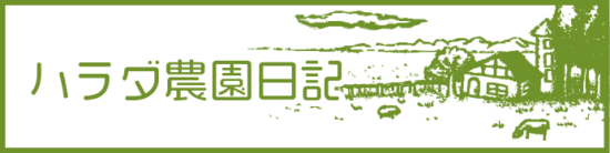 介護付有料老人ホームほそしま
