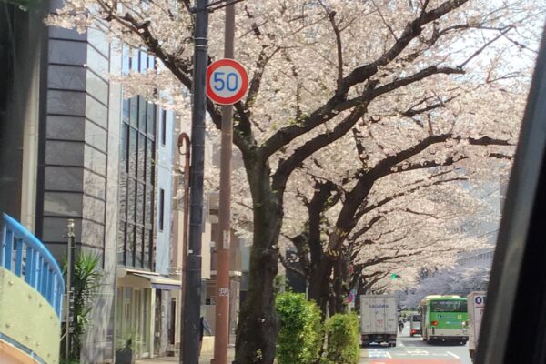しまナーシングホーム平須