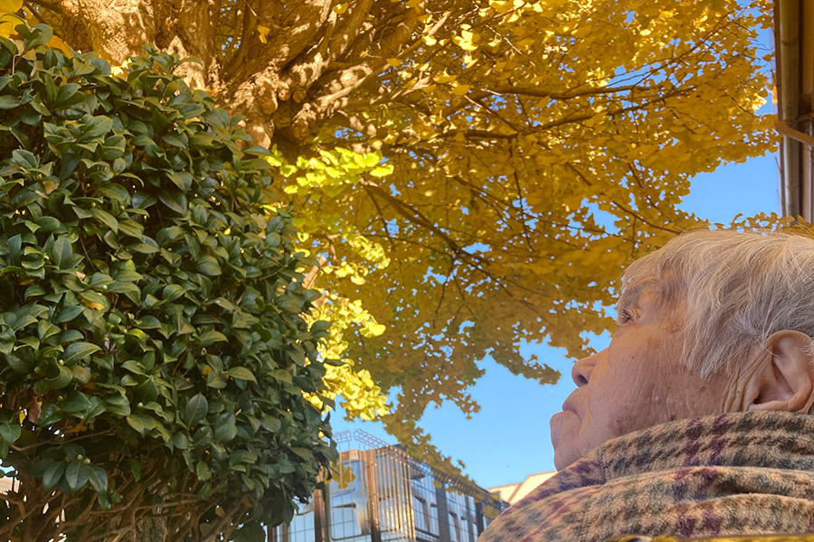 介護老人福祉施設長生園