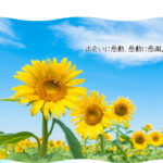 グループホーム　青空｜みやま市福岡県みやま市高田町海津1461番地2の介護付き有料老人ホームの写真
