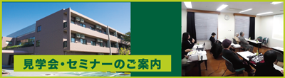 もみの樹・杉並