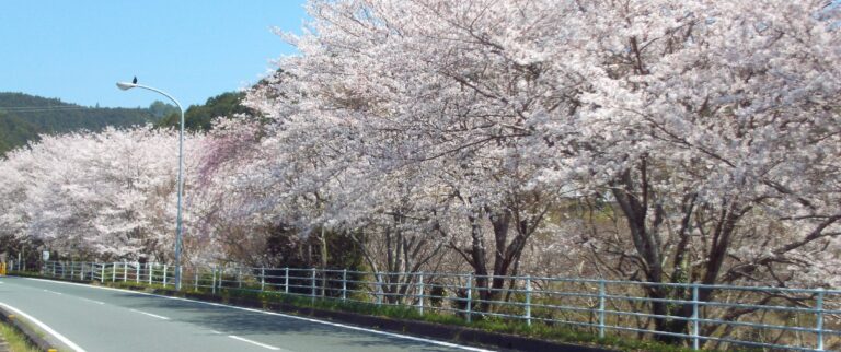 森町愛光園