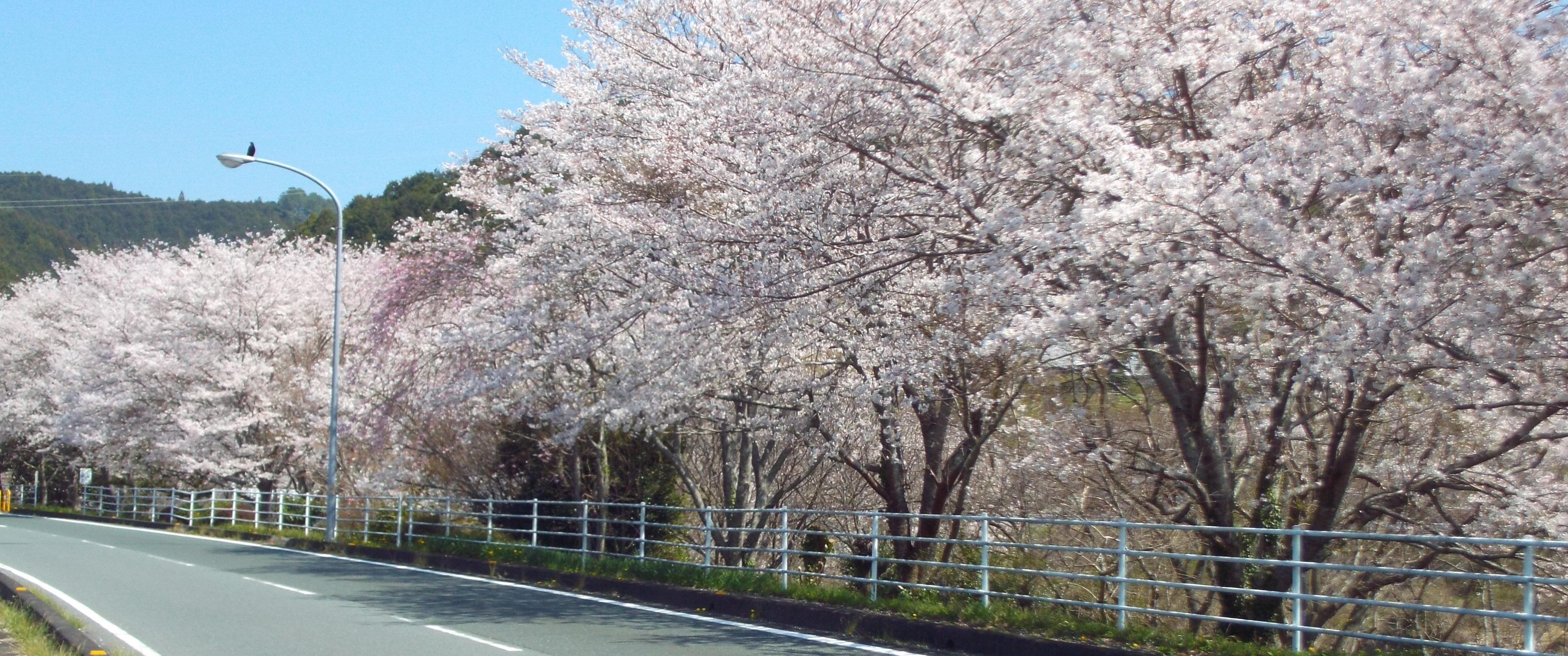 森町愛光園