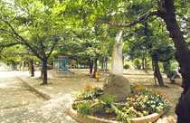 グループホームここから大枝公園